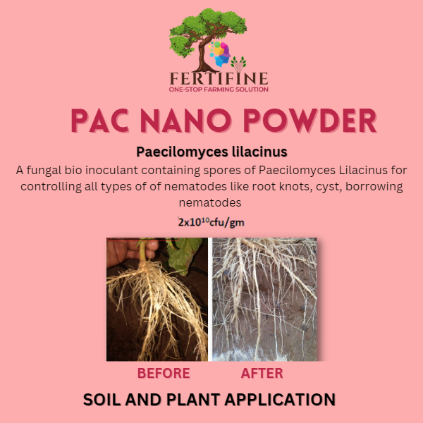 PAC NANO POWDER