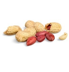 GROUND NUT COMBO KIT 1 ACRE