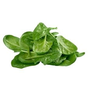 SPINACH - PAALAK COMBO KIT 1 ACRE