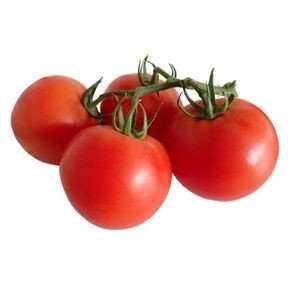 TOMATO COMBO KIT 1 ACRE