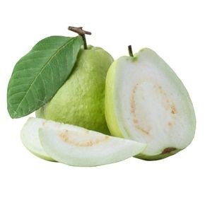 GUAVA COMBO KIT 1 ACRE