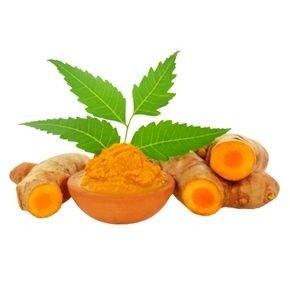 HALDI COMBO KIT 1 ACRE