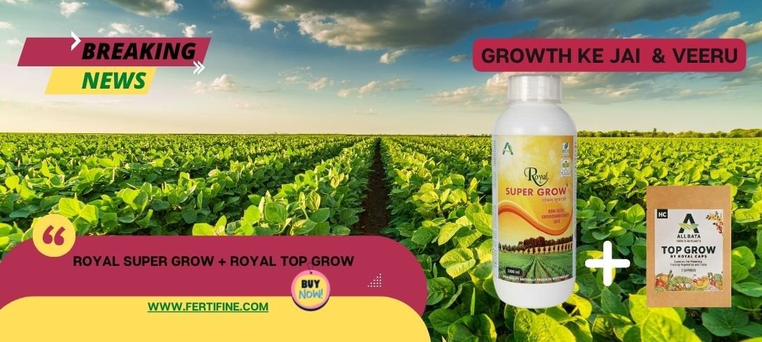 Maximize Your Crop Yields with Royal Super Grow - The Certified Organic Plant Booster for All Crops, Flowers, and Vegetables