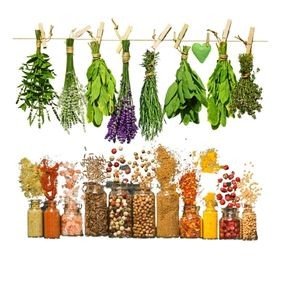 HERBS & SPICES COMBO KIT 1 ACRE