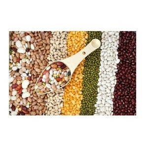 LENTILS COMBO KIT 1 ACRE