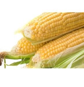 MAIZE COMBO KIT 1 ACRE
